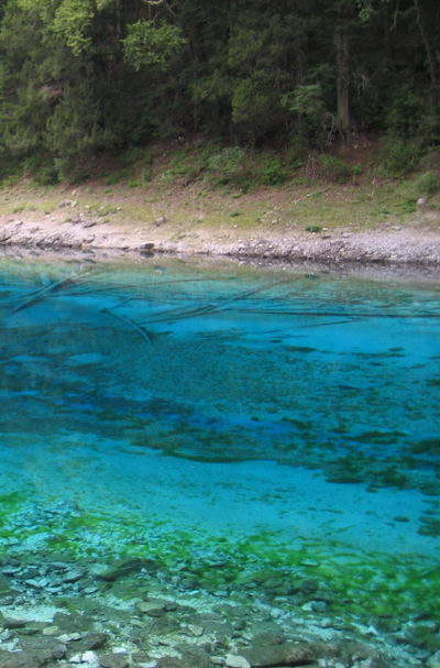 
Five coloured pool 4
 