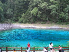 
Image Chutes de Suzheng - Valle Zechawa - JiuZhai Valley (Jiuzhaigou, Sichuan, China)
 