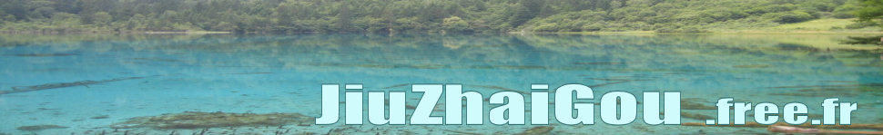 Logo du Site
 